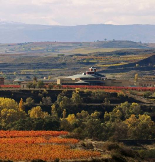 vista-del-museo-vivanco-de-la-cultura-del-vino-y-bodegas-vivanco