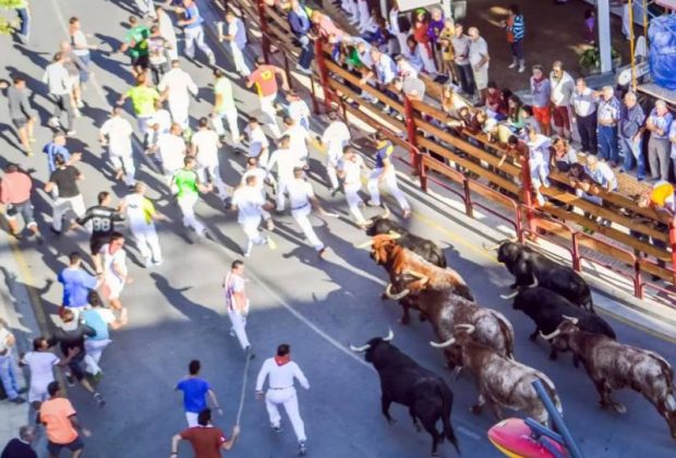 Encierro de Alfaro