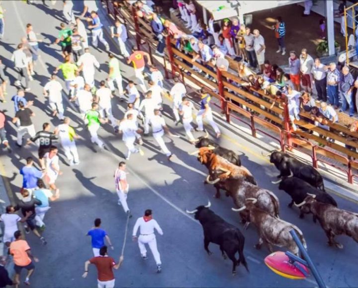 Encierro de Alfaro