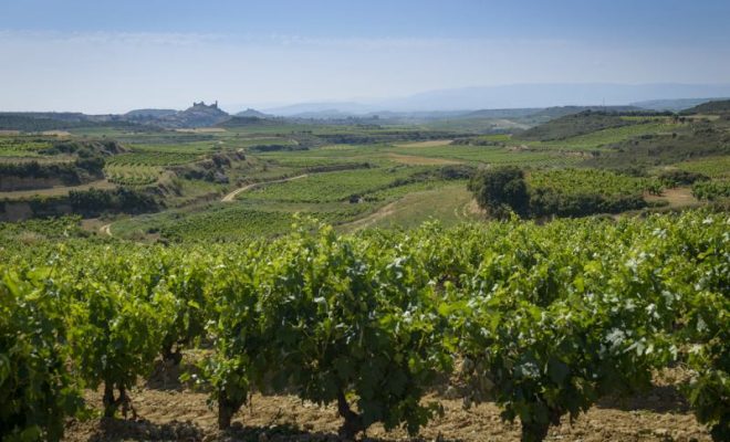 Rioja-Labastida