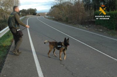 inspeccion tietar