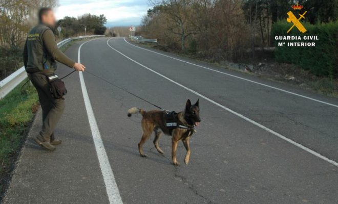 inspeccion tietar