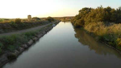 Canal de Lodosa