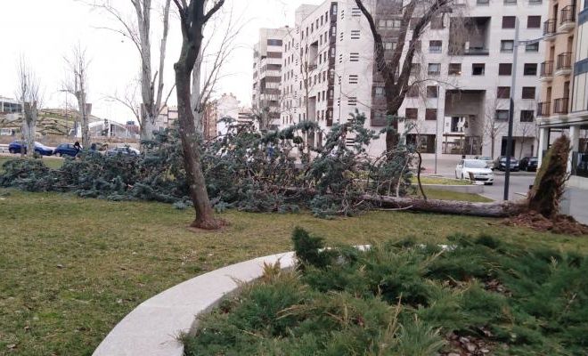 Viento